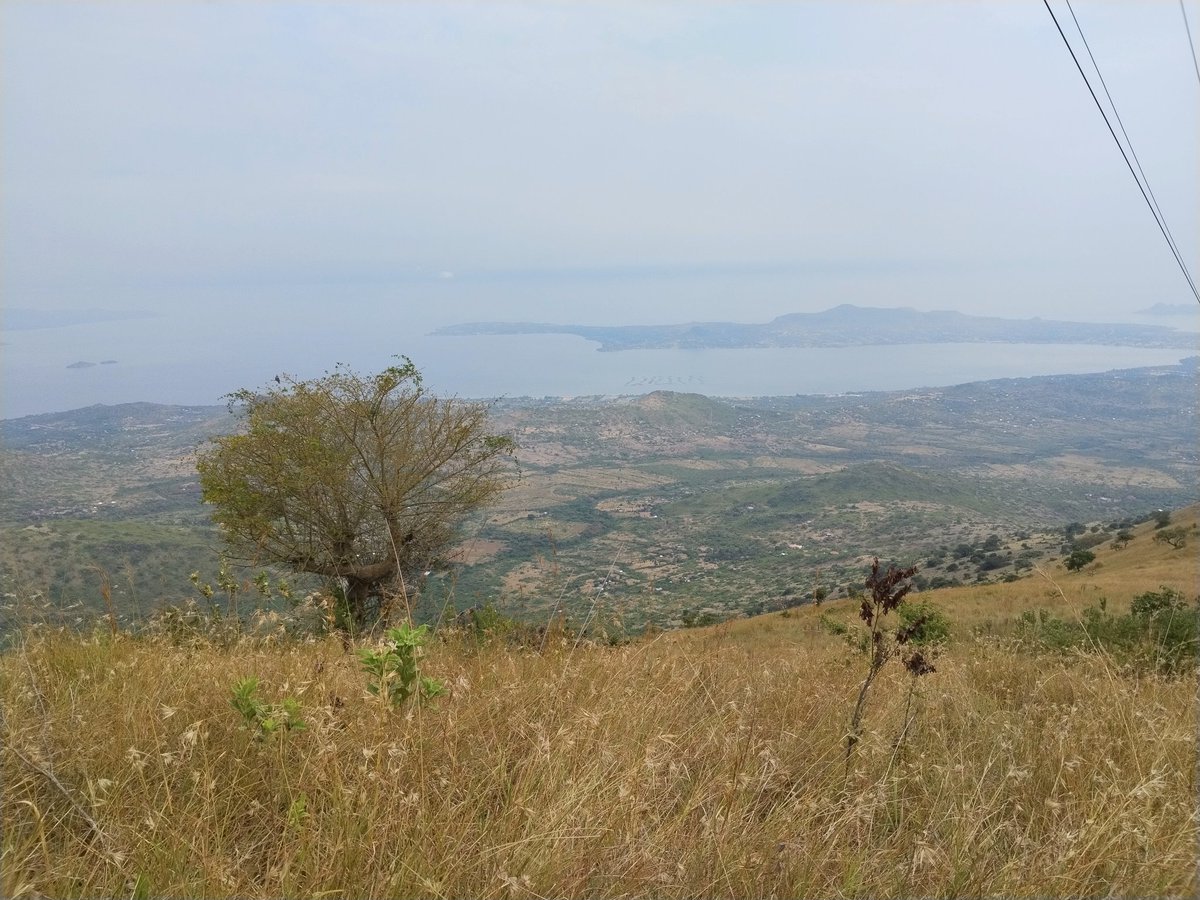 evansokenya's tweet photo. Gembe Hills 📍
Elevation 1800m
Distance 11kms https://t.co/6Q7mZAcXSo