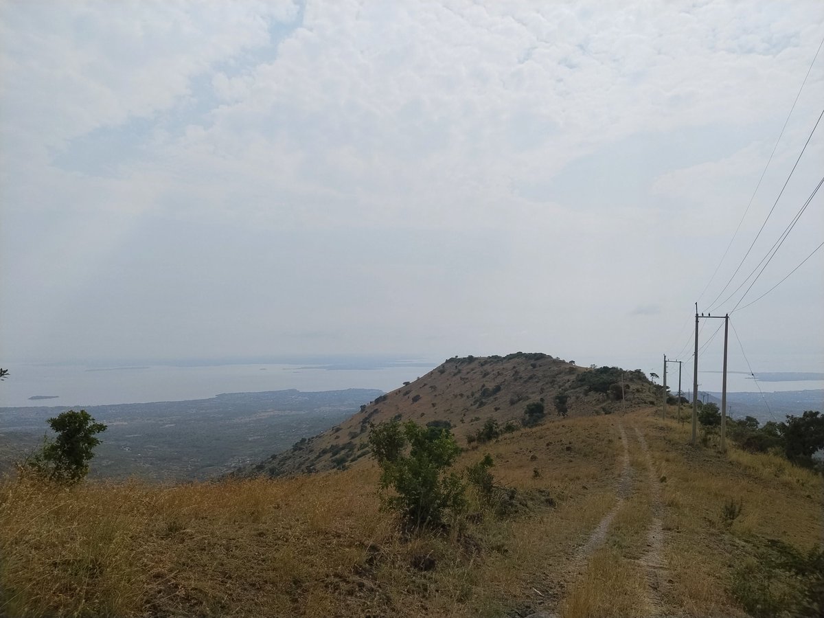 Gembe Hills 📍
Elevation 1800m
Distance 11kms