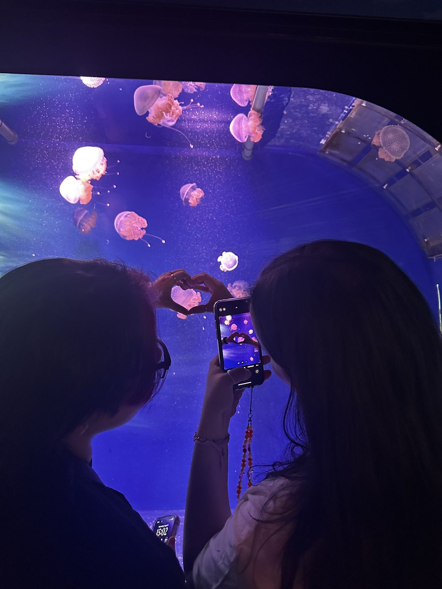 pupcait's tweet photo. #certifiedoomfs made it to the aquarium together https://t.co/FKAOlT06Ef