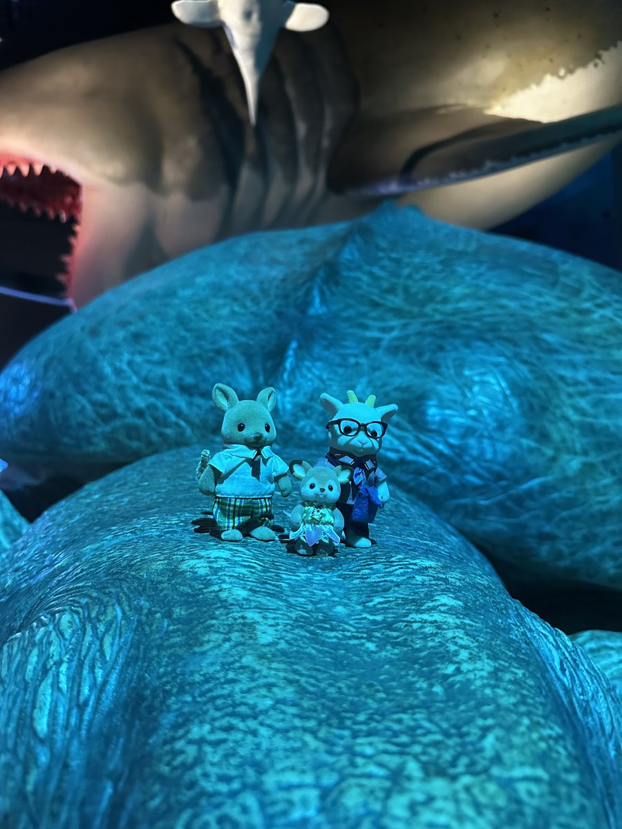 pupcait's tweet photo. #certifiedoomfs made it to the aquarium together https://t.co/FKAOlT06Ef
