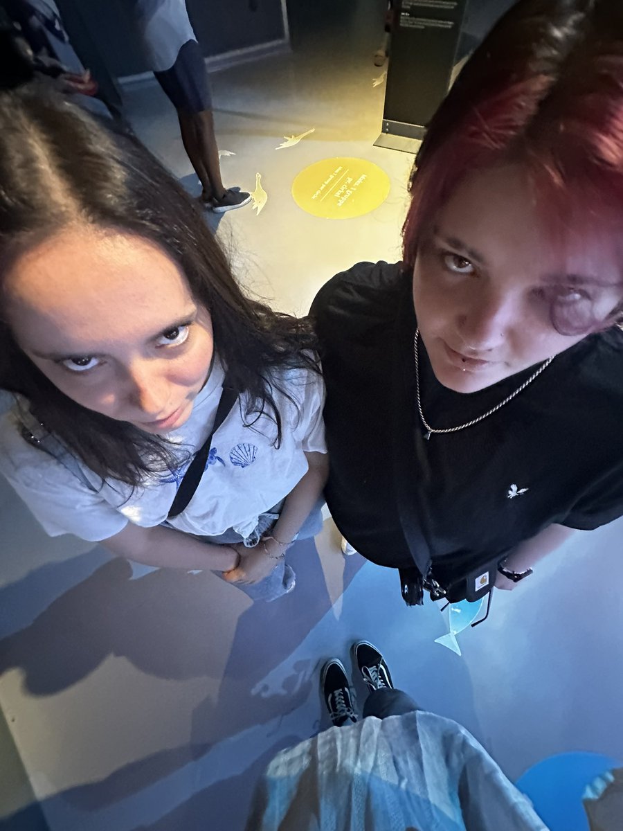 pupcait's tweet photo. #certifiedoomfs made it to the aquarium together https://t.co/FKAOlT06Ef