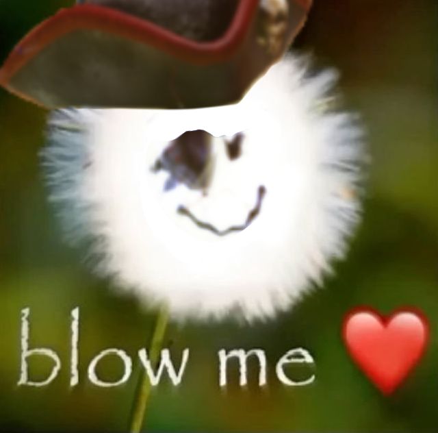 ZEV無敵 ‼️( COMMS; CLOSED ) tweet media