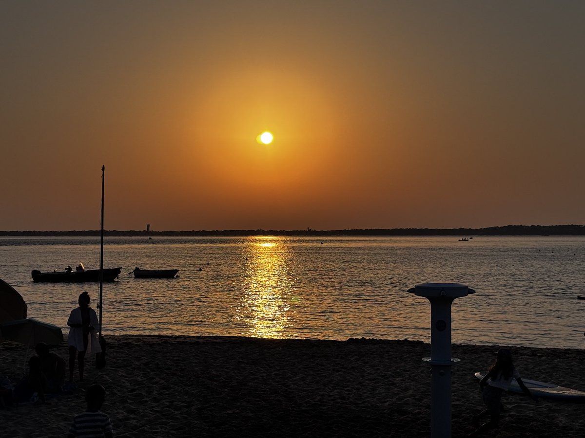 ⁦<a href="/ArcachonBassin/">BassinArcachon</a>⁩, des cabanes de Gujan à marée basse le midi à Pereire et aux arbousiers au soleil couchant, face au Cap Ferret, tout est beau 🤩!!!
