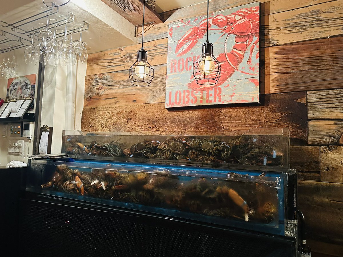 sweetbaldbear's tweet photo. 今日は結婚記念日🍾
嫁のリクエストでエビづくし！！！🦐
前菜からメイン、デザートまで、
全て美味しすぎました☺️
ありがとうございました！
#EBIZO
#渋谷 https://t.co/U6PEL6eC0R