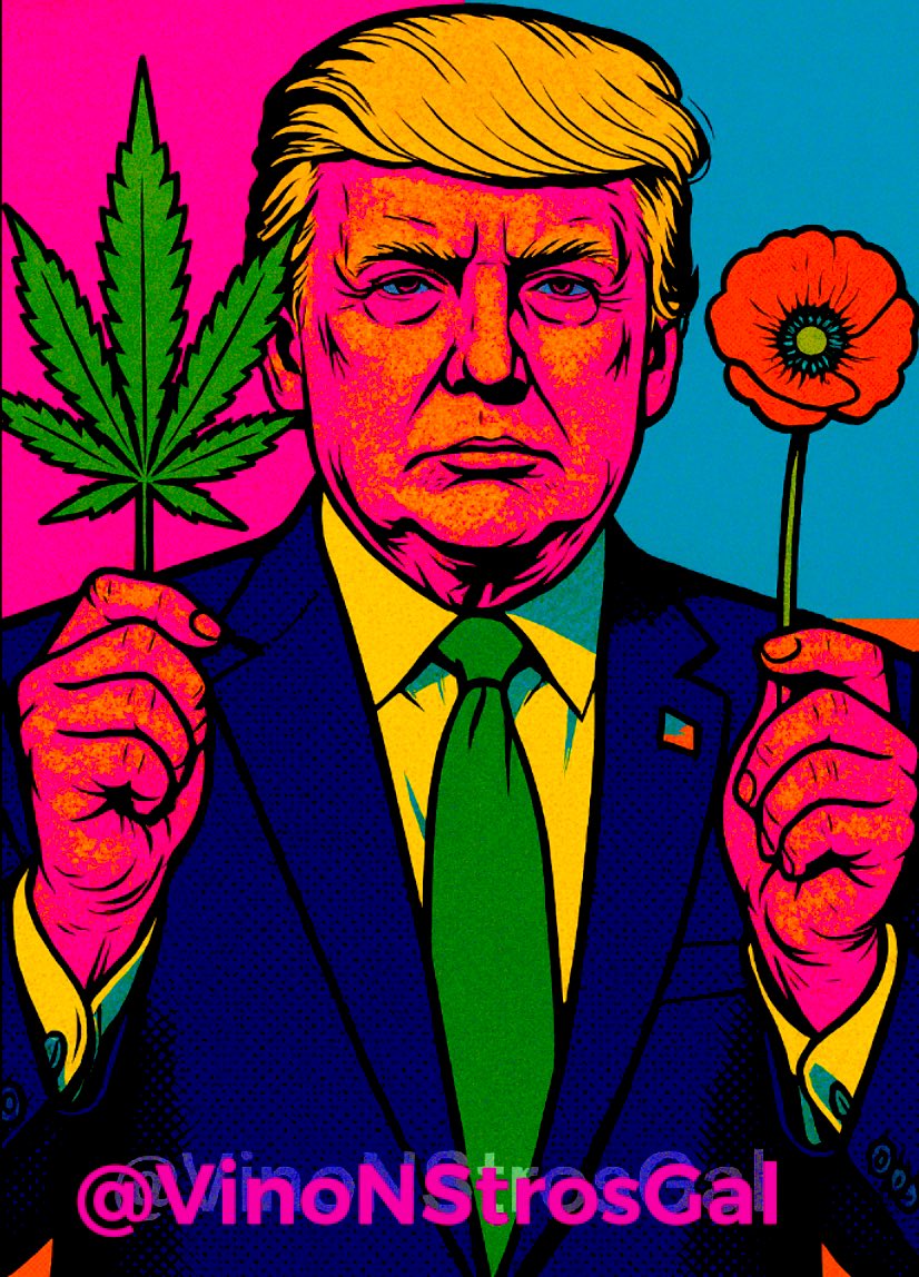 VinoNStrosGal's tweet photo. Weeds Get the Spotlight While Poppies Get Plowed Under

Donald Trump’s latest pivot: floating the idea of moving cannabis to Schedule III at the federal level — a major reclassification that would ease restrictions, open the door to broader medical access, and shift the national conversation.

Cannabis reform has become the cool kid at the policy lunch table. Celebrities openly endorse it, influencers post glossy dispensary hauls, and politicians of every stripe angle for a slice of the green economy.

Meanwhile, prescription opioids—proven, regulated, and in many cases life-saving for people in severe chronic pain, are treated like contraband. 

The same public figures who post selfies with edibles keep prescription opioids like oxycodone, Vicodin, Tramadol, or Tylenol #3 in their medicine cabinets.

The difference is you’ll never see them advocating for the patients who need prescription opioids daily to survive. 

They’re too afraid of being canceled by a media narrative that equates legitimate pain care with abuse.

Here’s the hypocrisy:

Both cannabis and opioids have ancient medicinal roots. Both come from plants. Both can be abused. Yet only one is being glamorized, commercialized, and welcomed into mainstream culture with open arms — while the other is vilified, restricted, and made nearly impossible for suffering patients to access.

And for millions in the pain community, this isn’t a “policy debate.” It’s survival. 

We are being bulldozed in the rush to crown cannabis as the next bipartisan win, while people with incurable, disabling conditions are left to deteriorate or die without the medications that work for them.

If this was truly about compassion, relief, and bodily autonomy, opioid patients would be part of the conversation. 

Instead, we’re treated like collateral damage in a political popularity contest.

Weeds get the spotlight.

Poppies get plowed under.

#ChronicPain #OpioidCrisis #PainPatientsVote #Cannabis #Opioids #PainCommunity #Trump #MedicalFreedom