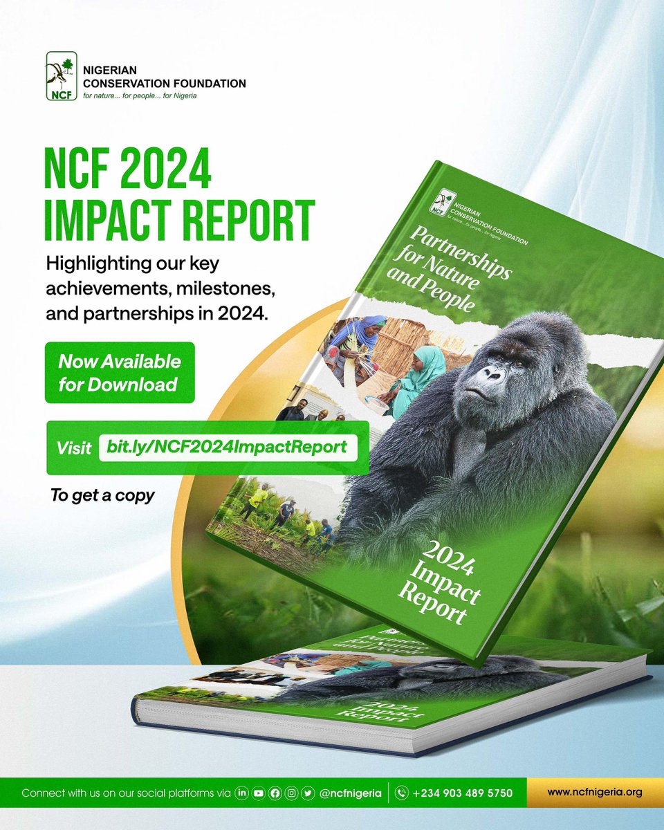 Nature conservation and sustainability are not just about protecting forests, they are also about giving people the power to thrive.

Through the NCF/NABU project, we’re creating economic opportunities in communities facing tough economic realities by creating green jobs that