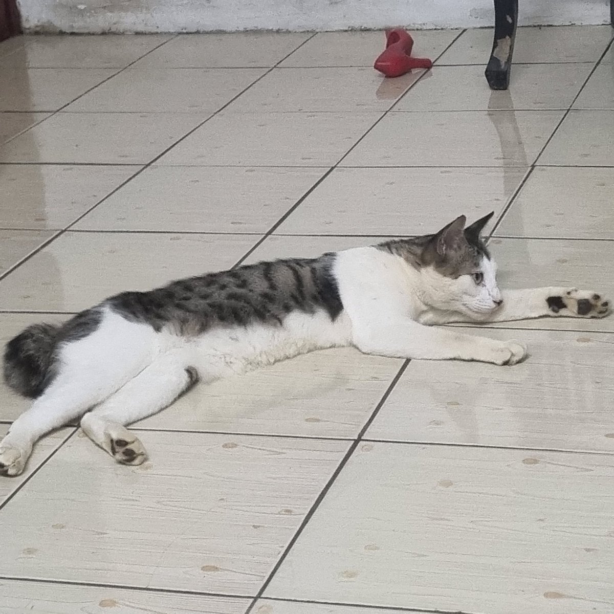 Khairul Anuar tweet media