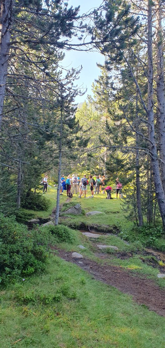 Els fenòmens geològics i climatològics al llarg de la història han dibuixat paisatges espectaculars i únics a la <a href="/VMPC_Andorra/">MadriuPerafitaClaror</a> 
Dissabte, amb l'ajuda de <a href="/MeteoPirineos/">MeteoPirineos</a>  vam descobrir les glaceres rocalloses relicties a Ensagents, just a l'entrada de la Vall des d'<a href="/ComuEncamp/">Comú Encamp</a>