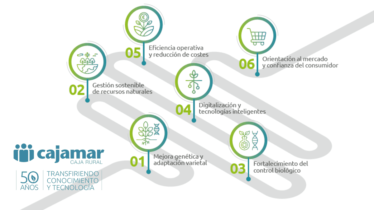 Cajamar ADNAgroFood (@adnagrofood) on Twitter photo 5️⃣ 0️⃣ 🌱 HOJA DE RUTA | Hemos realizado una encuesta entre asesores técnicos y profesionales de la agricultura almeriense para conocer cuáles son las prioridades en I+D que necesita el sector para seguir avanzando
➡️ plataformatierra.es/innovacion/pri…
<a href="/Cajamar/">Grupo Cajamar</a> | #50Palmerillas 5️⃣ 0️⃣ 🌱 HOJA DE RUTA | Hemos realizado una encuesta entre asesores técnicos y profesionales de la agricultura almeriense para conocer cuáles son las prioridades en I+D que necesita el sector para seguir avanzando
➡️ plataformatierra.es/innovacion/pri…
<a href="/Cajamar/">Grupo Cajamar</a> | #50Palmerillas
