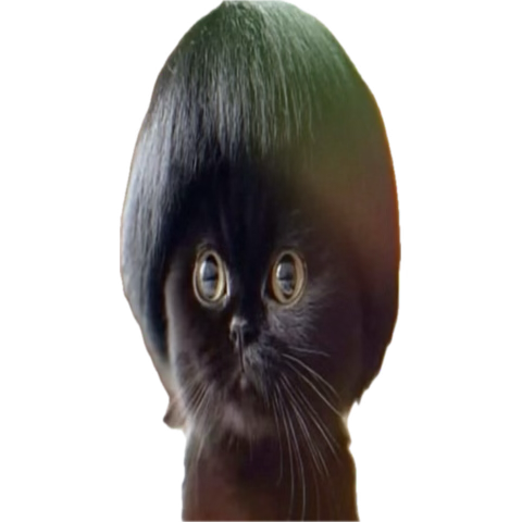 locked in
looking for smth