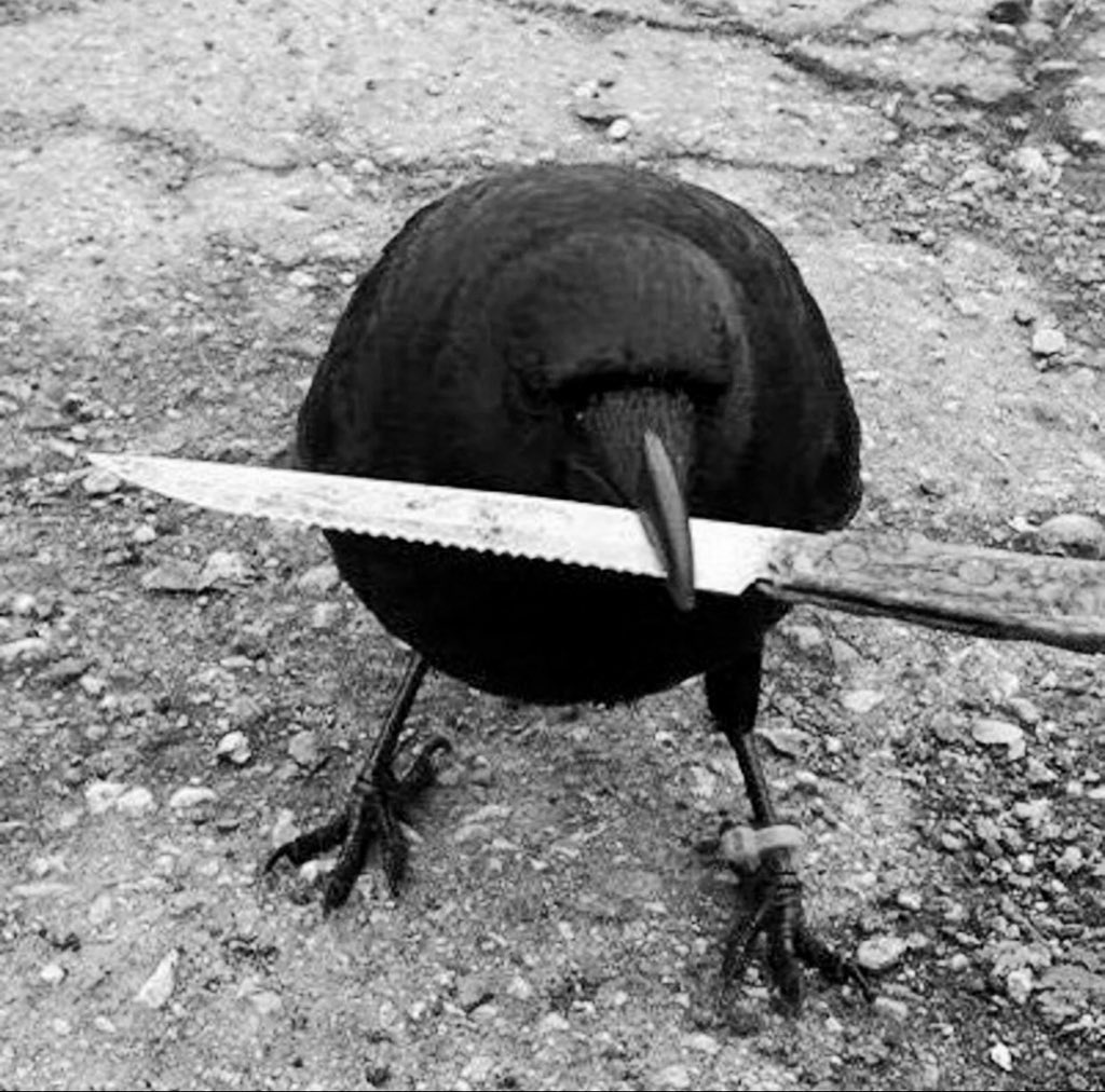<a href="/BTCCexchange/">BTCC</a> <a href="/crow_with_knife/">crow with knife</a> Crow with knife