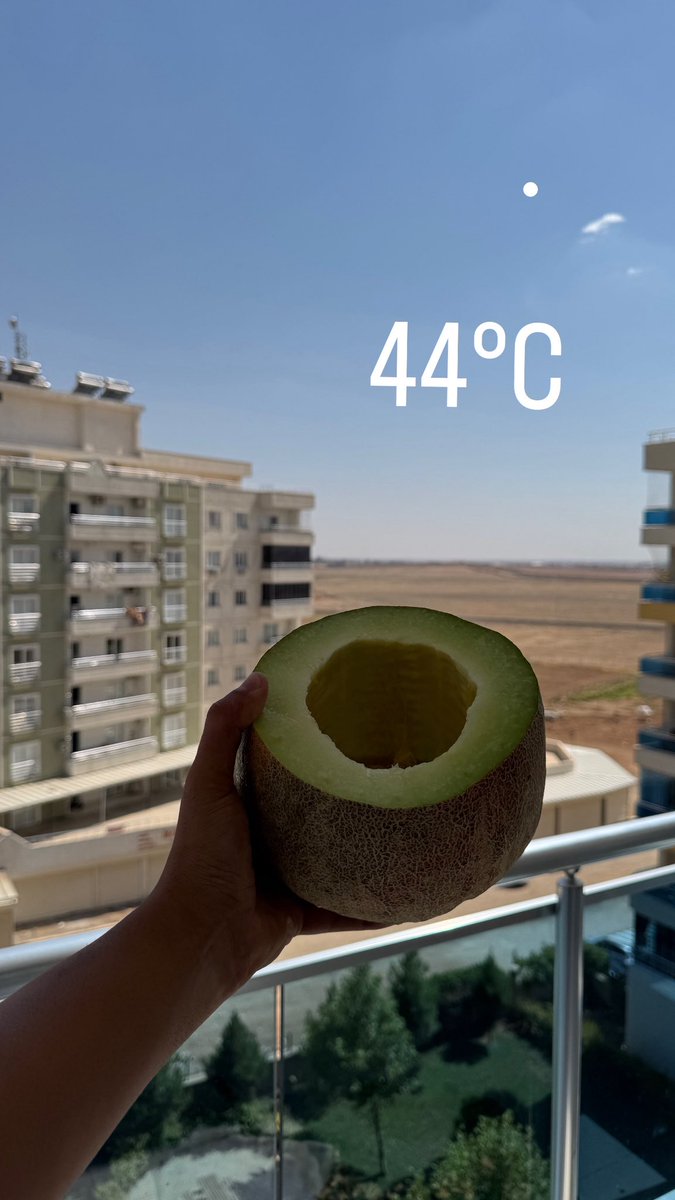 Tartışmasız dünyanın en iyisi 📍