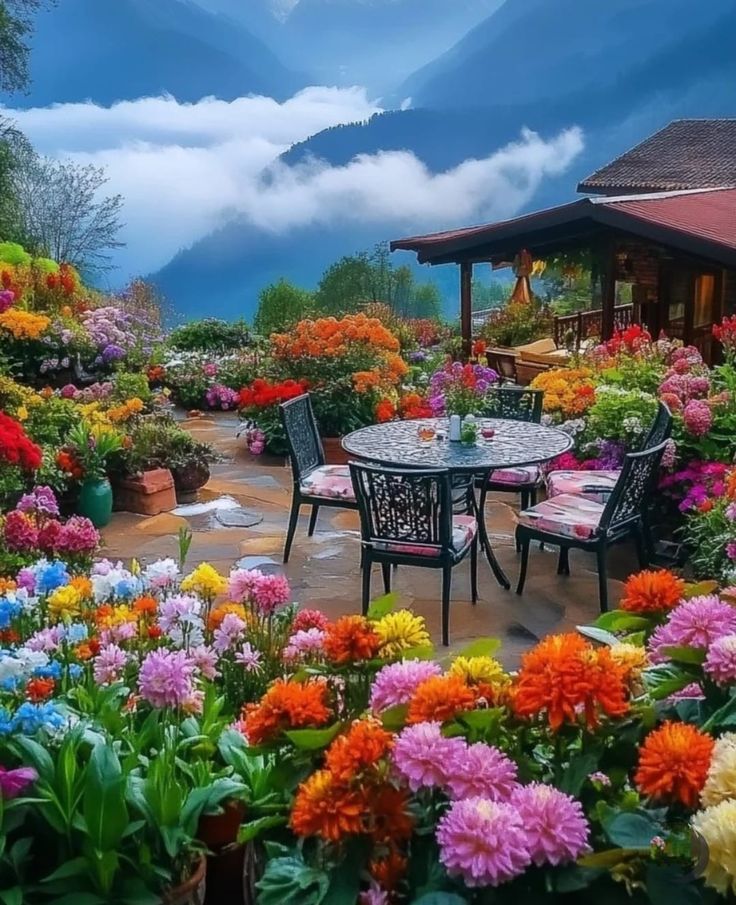 🌺🕊🌺  Good Evening  🌺🕊🌺