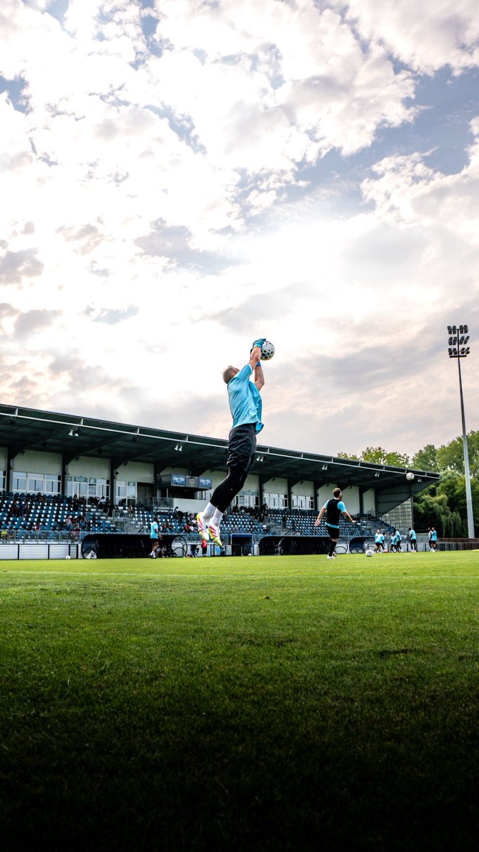 YUME Video tweet media