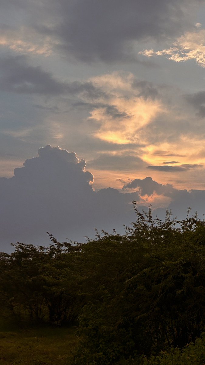 बादल का कोई टुकड़ा कहीं से भी उभरता, और बिना निशान छोड़े कहीं भी गुम हो जाता। आँखों के सामने शाम की छोटी-सी दुनिया फैलकर कितनी दूर-दूर तक चली जाती थी।
