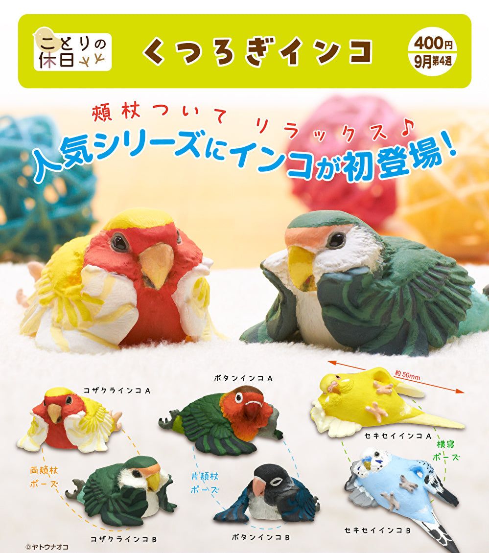 inkolife's tweet photo. 来月9月にインコガチャ「ことりの休日 くつろぎインコ」が発売予定です！
コザクラインコ、ボタンインコ、セキセイインコの3種が2種類のカラーで全6種類のラインナップです。

コザクラは両頬杖ポーズ
ボタンは片頬杖ポーズ
セキセイは横根ポーズ

と色々な姿勢でくつろぐインコのフィギュアです！ https://t.co/eX7my0zHvp