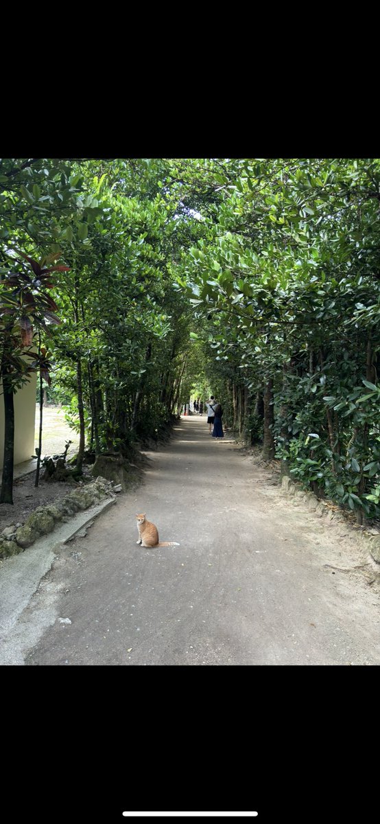 11/15  ゆるサーフ
（岐阜or名古屋）

2026/2/13〜15  SURF632とコラボ
沖縄旅行✈️

皆様のご参加お待ちしております🙇