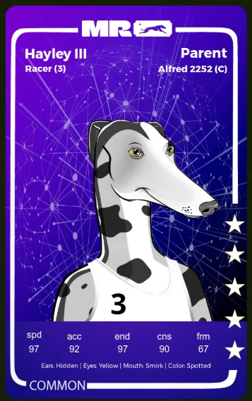 Muzzle Run Collectibles tweet media