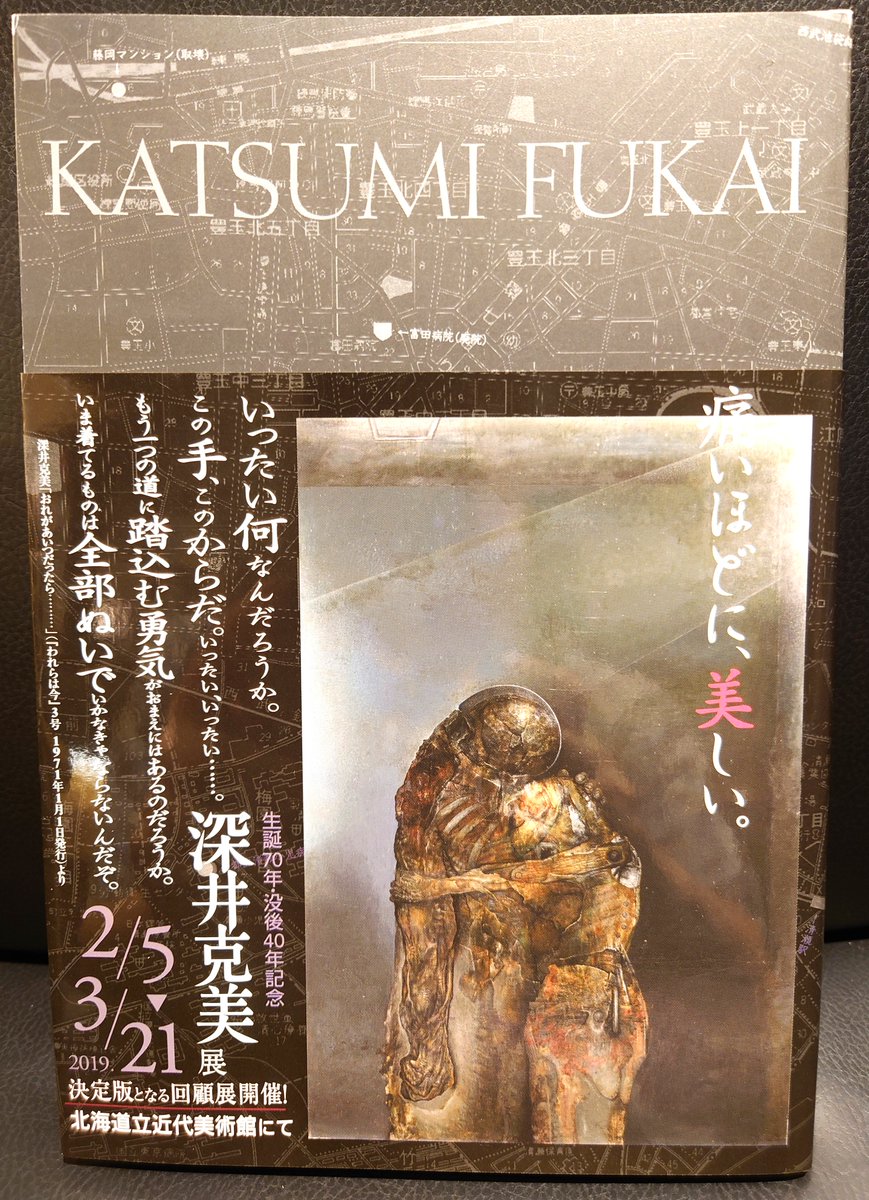 オリオン 深井克美・全画業』。画家は、30歳で、母親の眼の前で