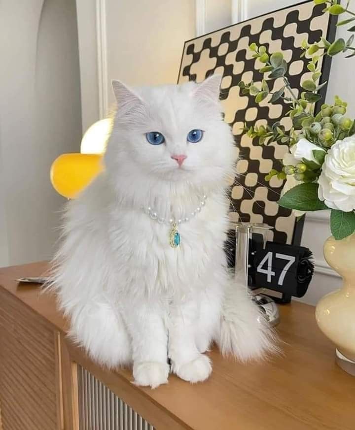 Overthinker tweet media