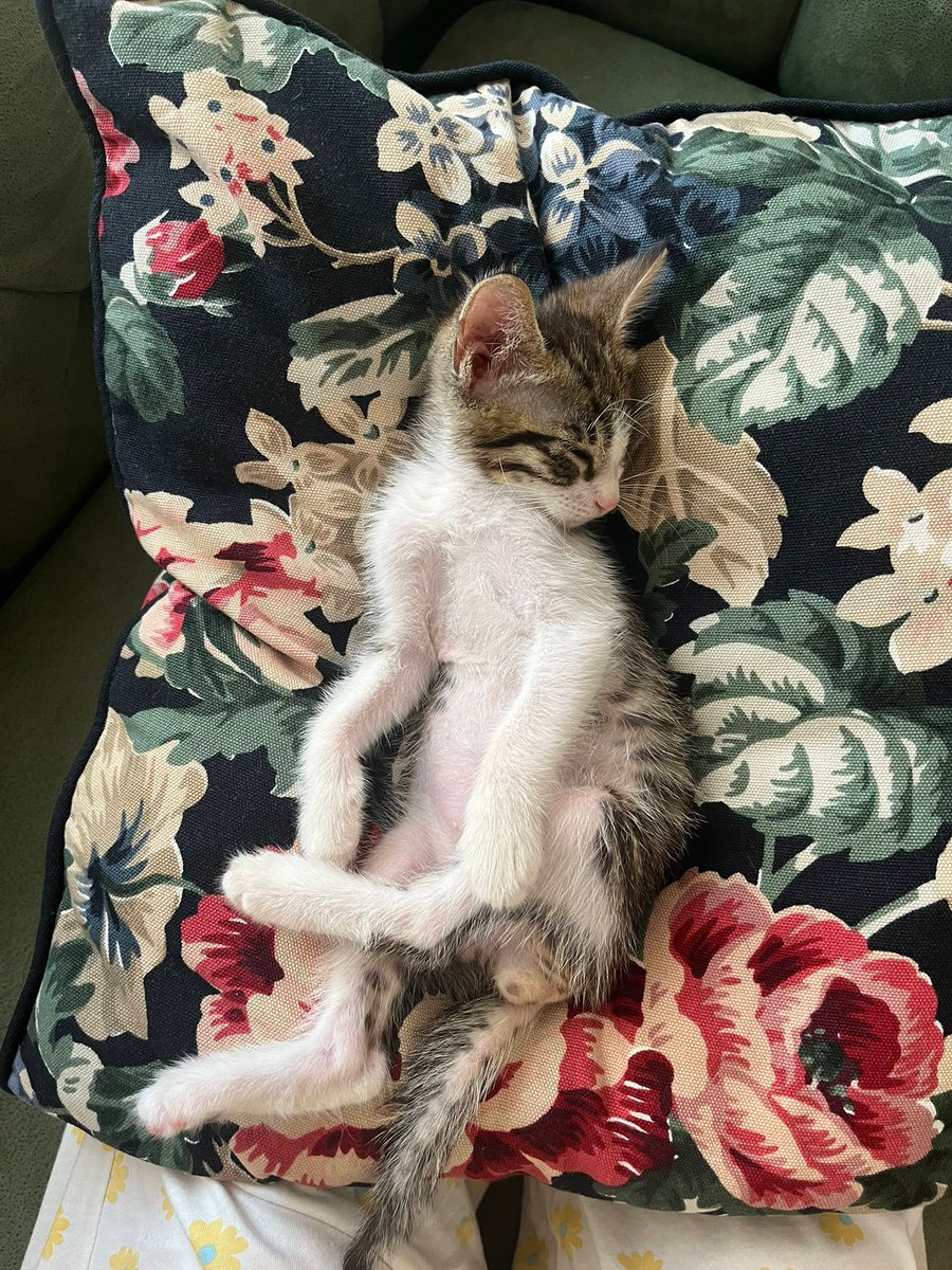 ananim ayanda saladi bayilmisdim