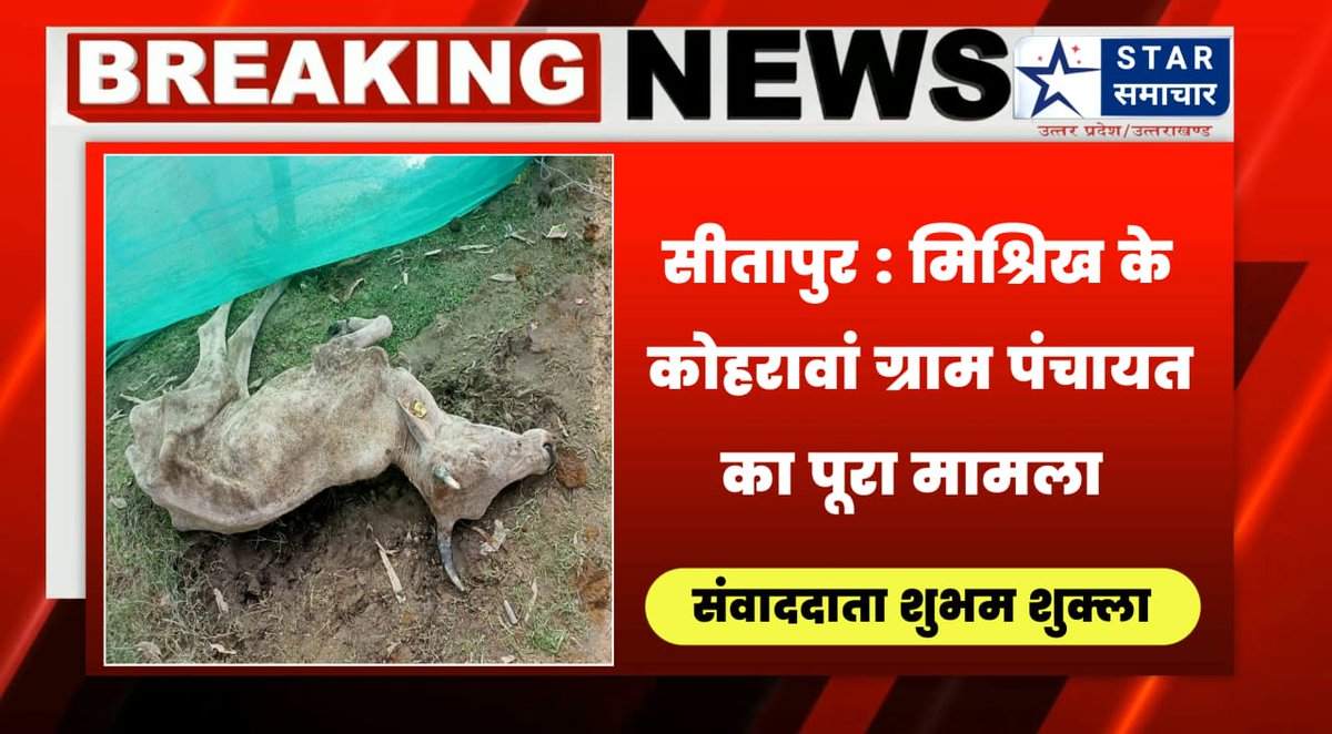 VimalVhp's tweet photo. इस गौशाला में भ्रष्टाचार करने वाले को संरक्षण कौन दे रहा है, मिश्रित की गौशाला तालाब बन गई,जनता नाराज़,गौवध/गौ-तस्करी हो रही है?डा०नदारद
@dm_sitapur @sitapurpolice @CdoSitapur @myogiadityanath @PMOIndia @Uppolice @HMOIndia @DOAHUP @dainikjagranlko @UPGauAayog @UPGovt @UPGaushala https://t.co/7HkAfPvXED