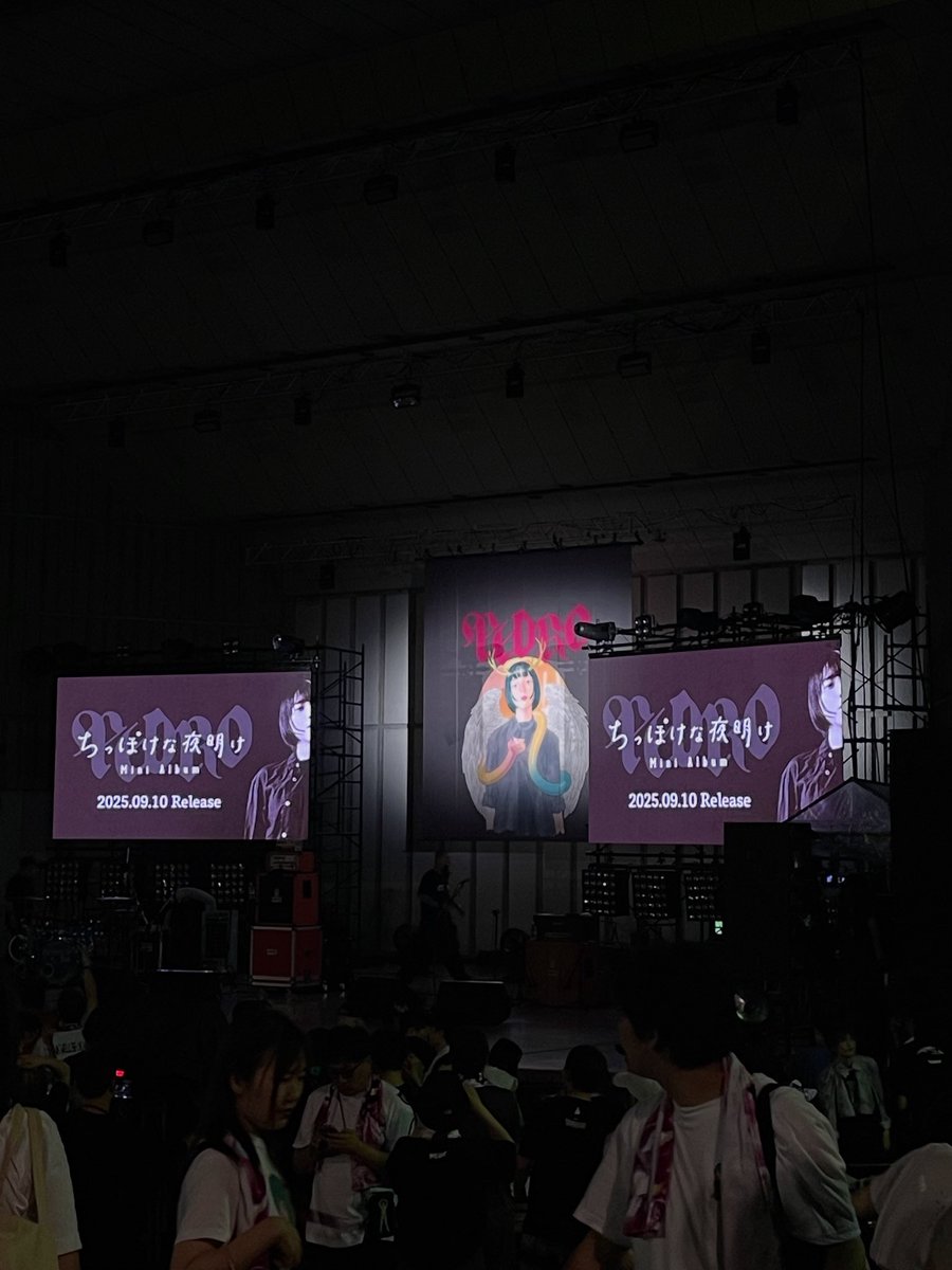 言語化するのは野暮
 #PEDRO野音