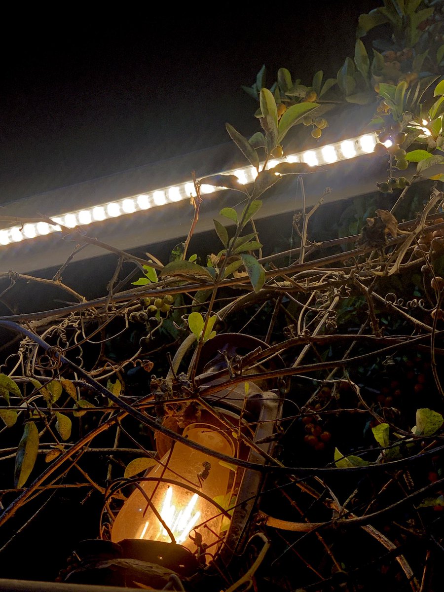 GwynethMatimbe's tweet image. Choso in retro 😂