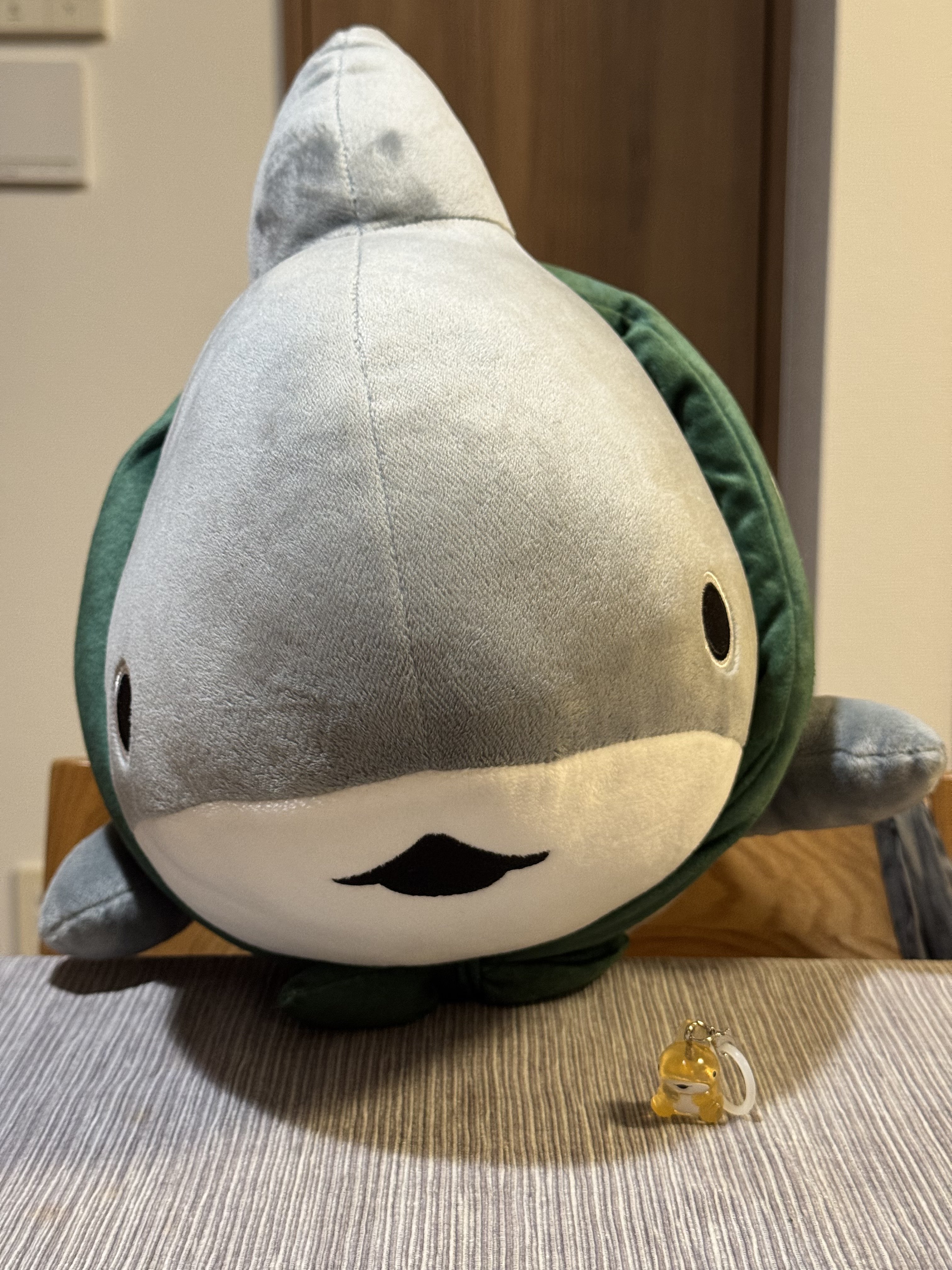 ザメちゃん確認 🐻🦈 on X: 