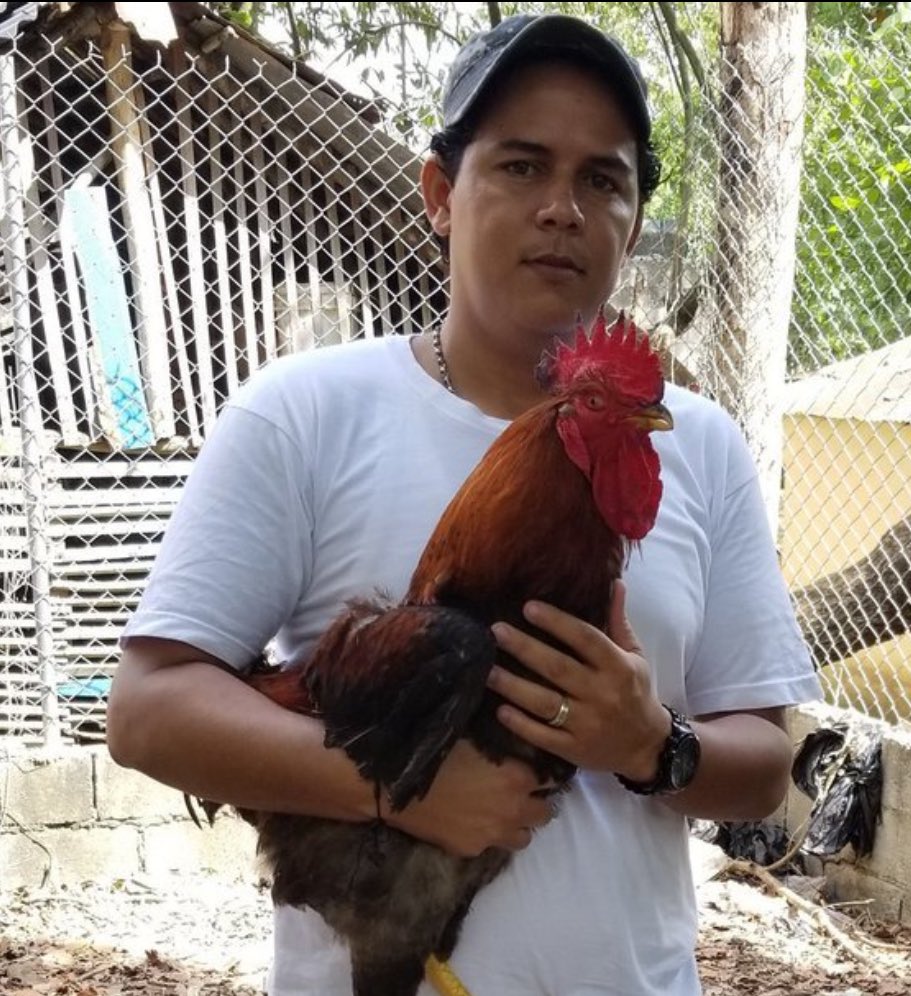 Francisco ✘ tweet media