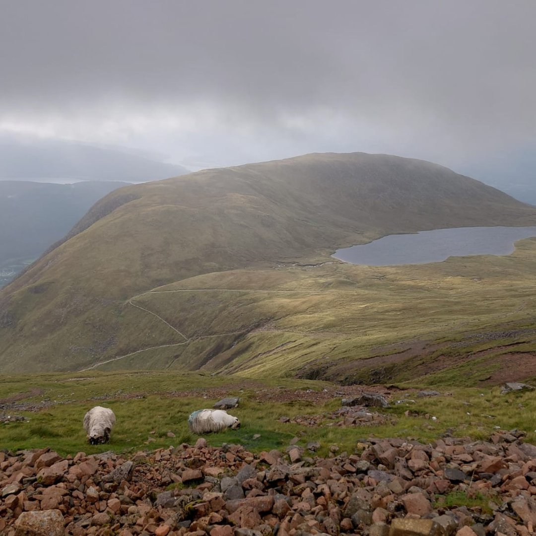 SwitchUpNotts's tweet image. A huge thank you to our own Hannah Gibson &amp;amp; partner, Callam, for conquering the #ThreePeaksChallenge in 24 hours🏔️🏔️🏔️⌚️to secure donations for our charity.

Your outstanding achievement raised vital funds to support young people across #Nottinghamshire.

👏

#Fundraising #Heroes