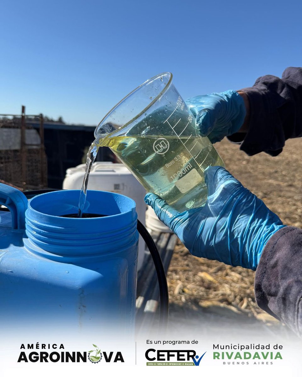 americaagr66078's tweet photo. 🌾 Compartimos algunas postales de la fertilización del ensayo de colza en conjunto con @Bunge 🙌🏼

#Agroinnova #CampoExperimental #InvestigaciónAplicada #Agronomía #CienciaEnElCampo #InnovaciónAgro #FormaciónProfesional #Colza #Bunge #MunicipalidadDeRivadavia https://t.co/DW3mFXRGRW