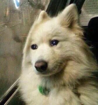 สังคมบุลลี่พอทน ผกกร่วมด้วยพอเลย 555555555556655(555555555555555 ม๋ามอมลูกหนูมาอ่านเจอจะรุ้สึกยังไงคะ 555555