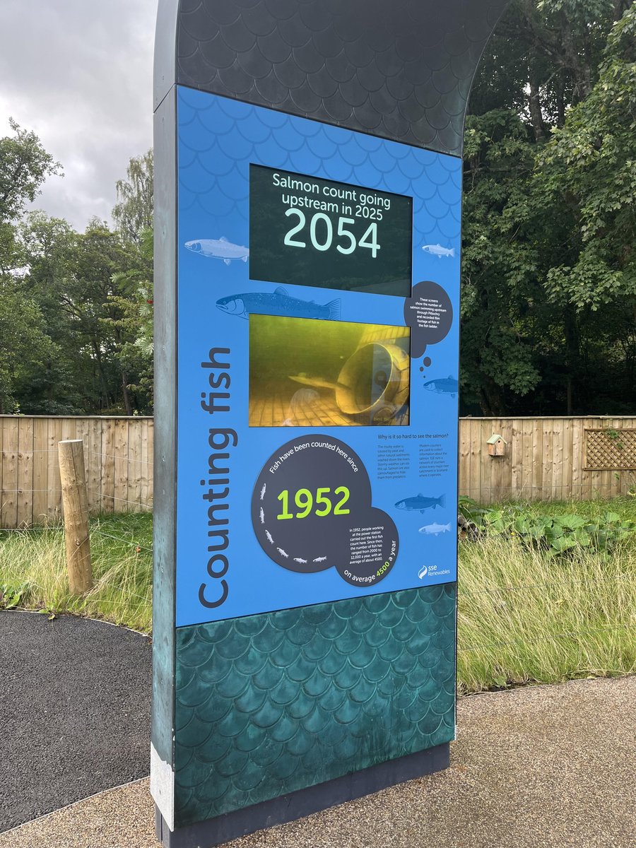 Ladder count 2054
Water temp 61F  (16.1C)
Monday  11/8/25    11:14 BST