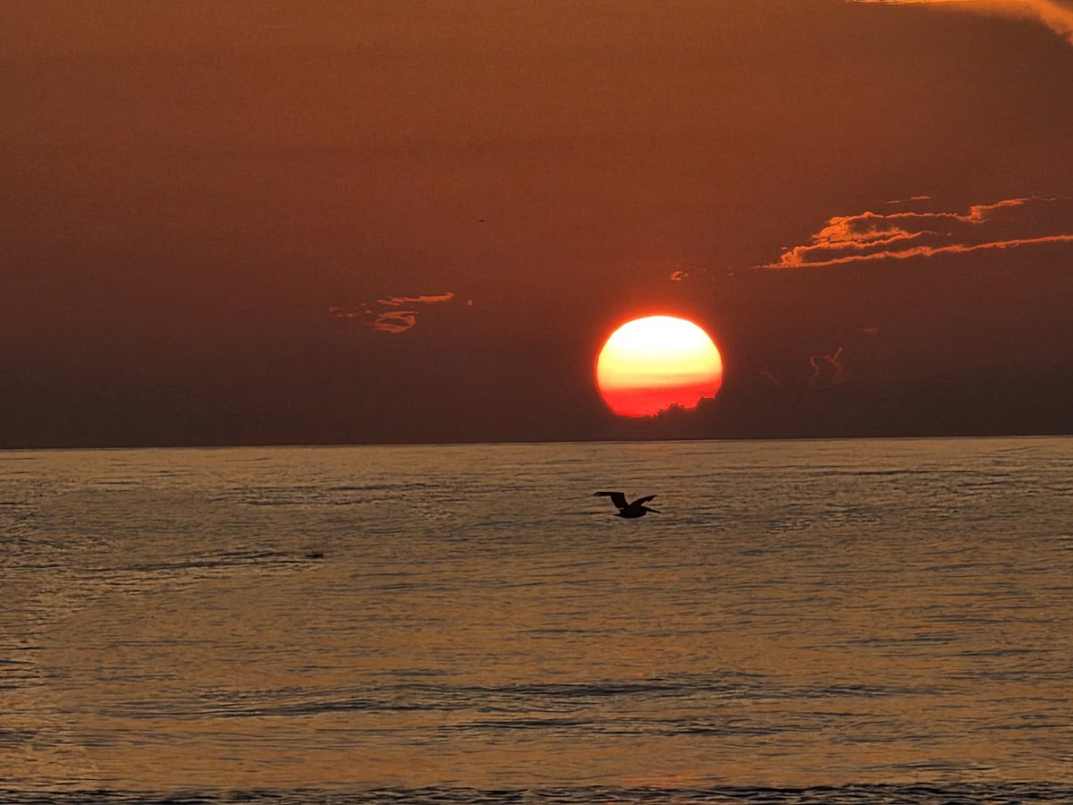 The beach vacation was a BLAST but happy to be back home!!

Besides the Battlefield 6 beta being EPIC, did I miss anything else since being MIA the last 2 weeks??