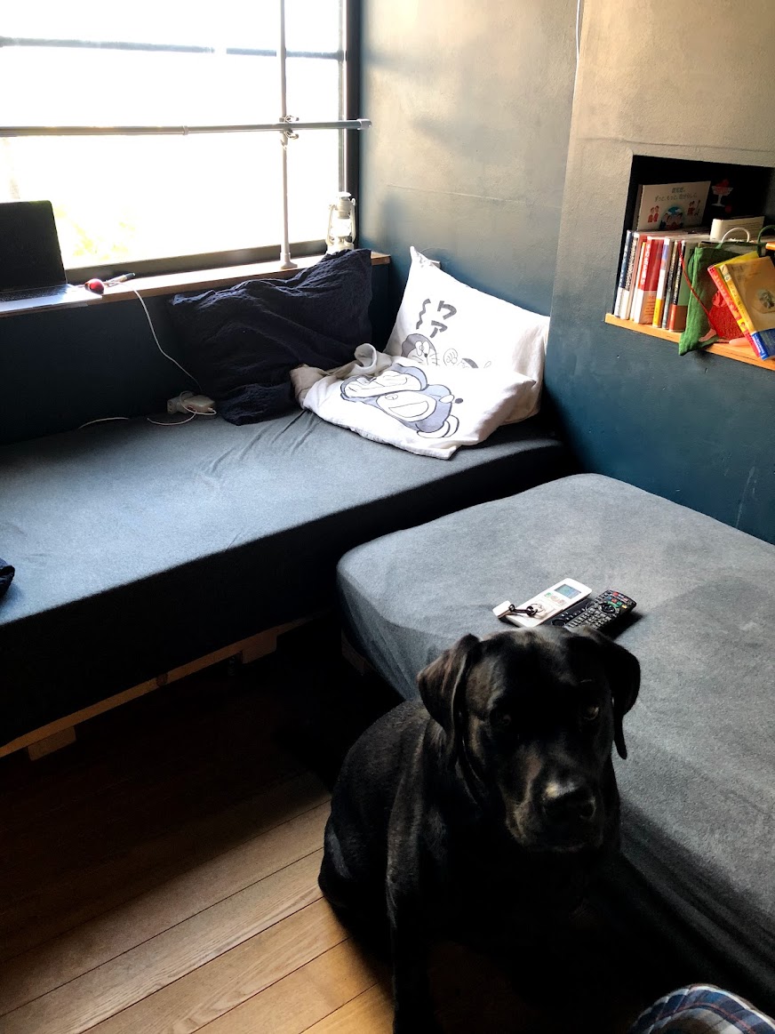 私とハリーの部屋はこんな感じでした。