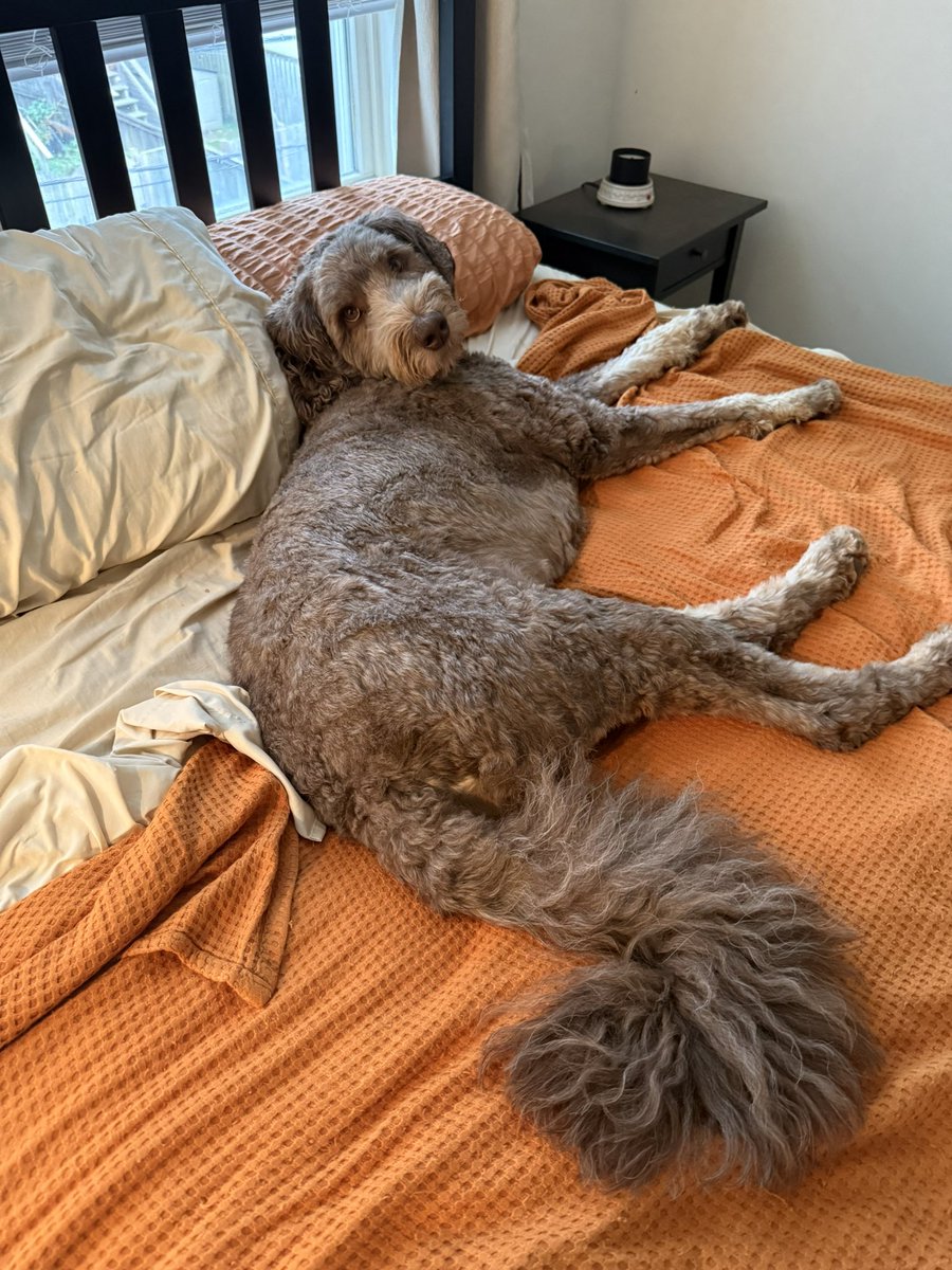 No, it’s okay. I’ll go make money today for your food and toys. You just chill, I’ll be back in nine hours.