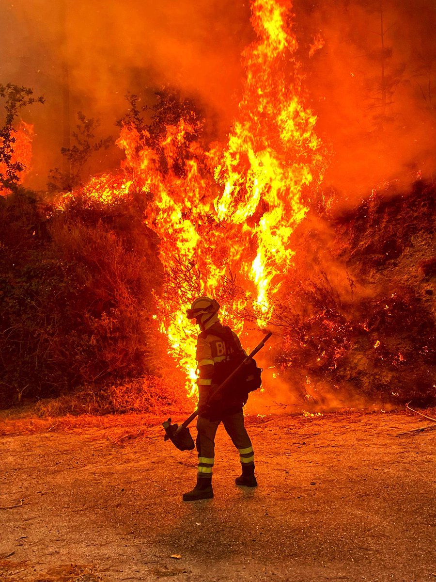 Heidi Podemita (@hpodemita) on Twitter photo Para que sirven los gobiernos del Pp en las Comunidades, si no saben gestionar, ni la sanidad pública, ni las riadas, ni los incendios, ni las residencias, ni nada de nada??
Donde gobiernan son la muerte!!!! Para que sirven los gobiernos del Pp en las Comunidades, si no saben gestionar, ni la sanidad pública, ni las riadas, ni los incendios, ni las residencias, ni nada de nada??
Donde gobiernan son la muerte!!!!