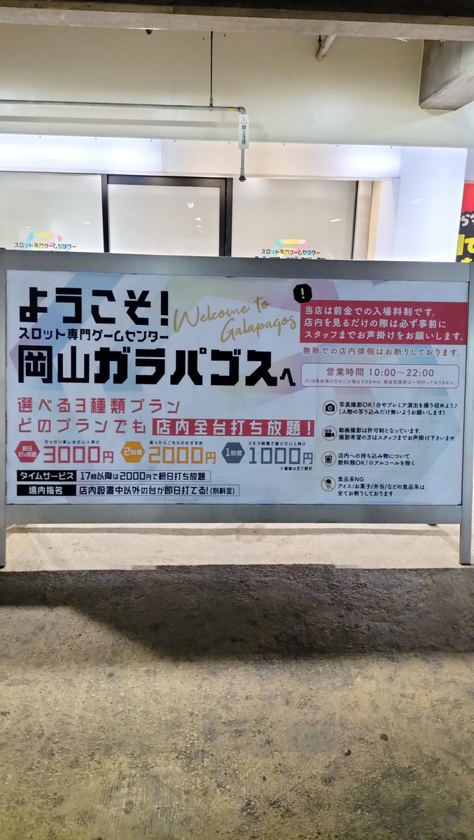 陽ちゃん。 tweet media