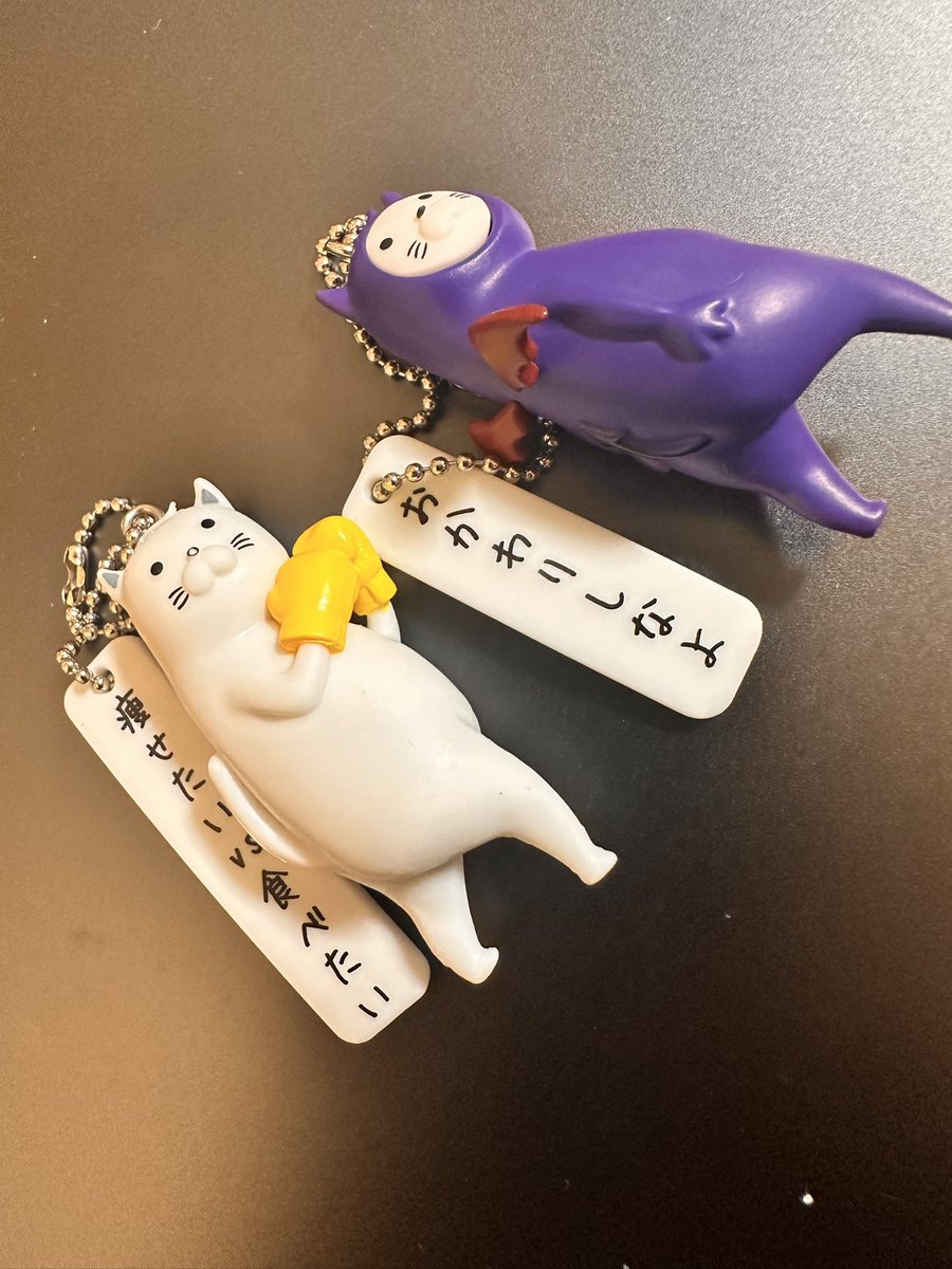 手に入れた！！！まさに痩せたいvs食べたい、で戦ってる🤣
#コオリヤマ　さんのガチャ最高🫶