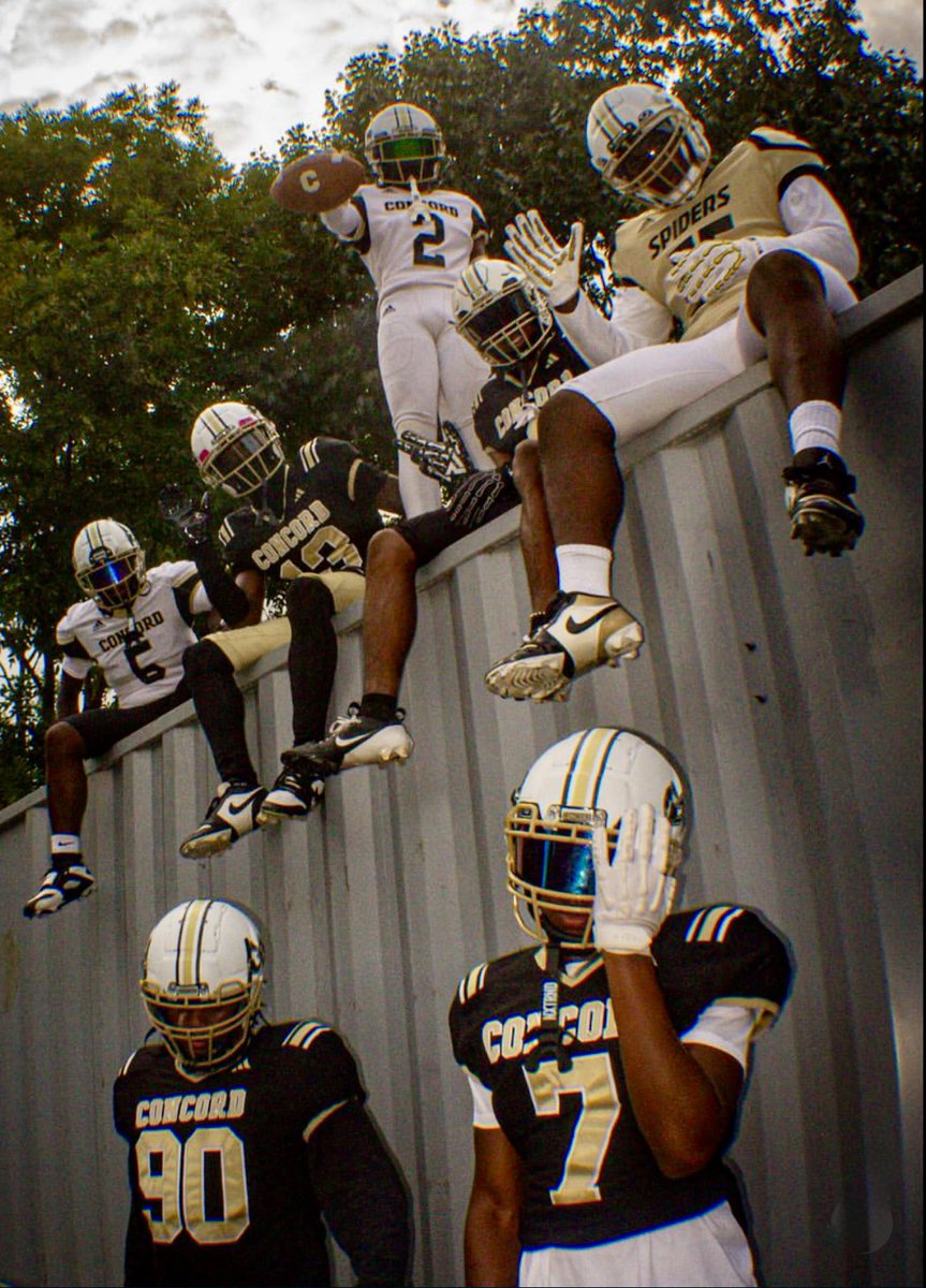 Concord Spider FB tweet media