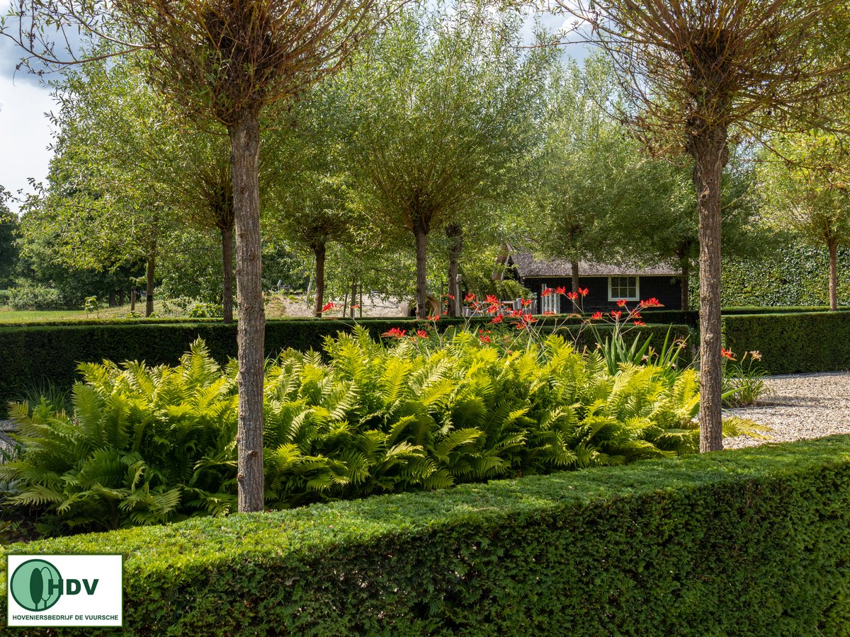 HenkHDV's tweet photo. In deze tuin kun je ademen! Wat een zuurstof met al dat levendige groen.

#hoveniersbedrijfdevuursche #groenetuinen https://t.co/d4aWwebRYl