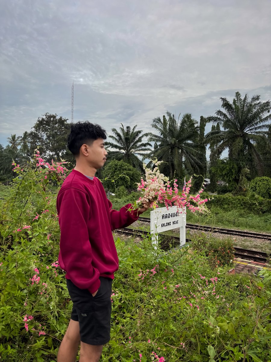 KaminWhy's tweet photo. 🍃⛰️ https://t.co/cMRV1lTYA1
