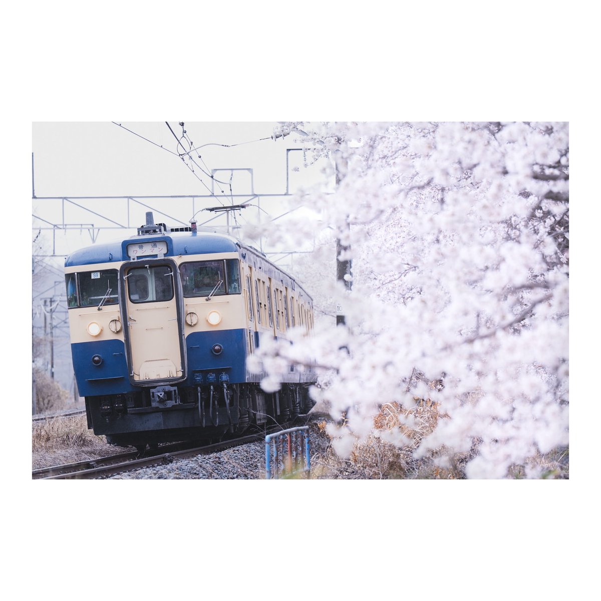 haru1841_'s tweet photo. #山の日なので山スカを貼ろう https://t.co/usJr8CThjF