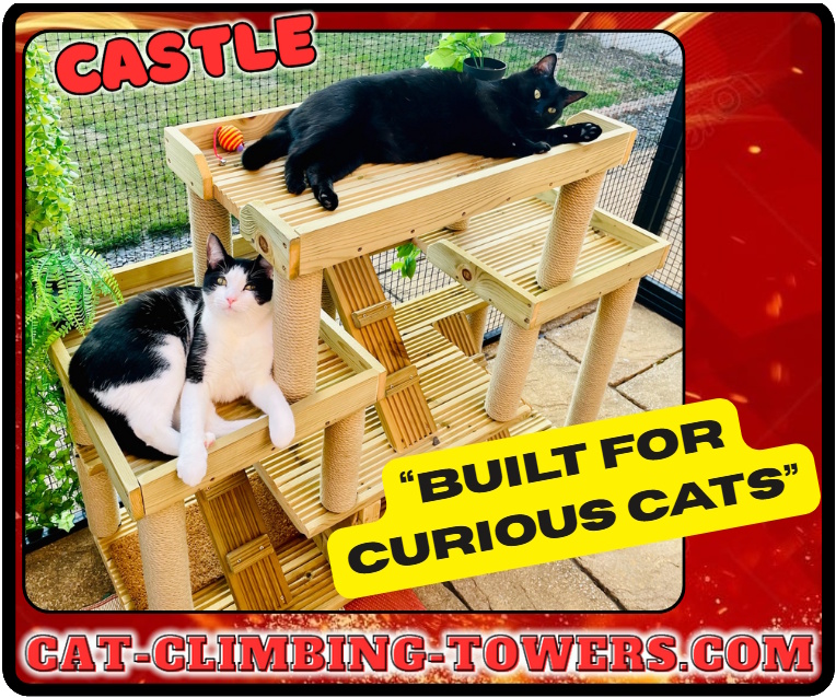 tclynx's tweet photo. Looking for a sturdy, beautiful outdoor frame for your cats? Martin & Gabriel are loving theirs and showing off their new favorite spot! Your cats deserve the best. Check out our handmade frames today!
👉 https://t.co/9tS5G7oQ5q
#CatTrees #CatPlayground #CatLife https://t.co/lS80XgVroX