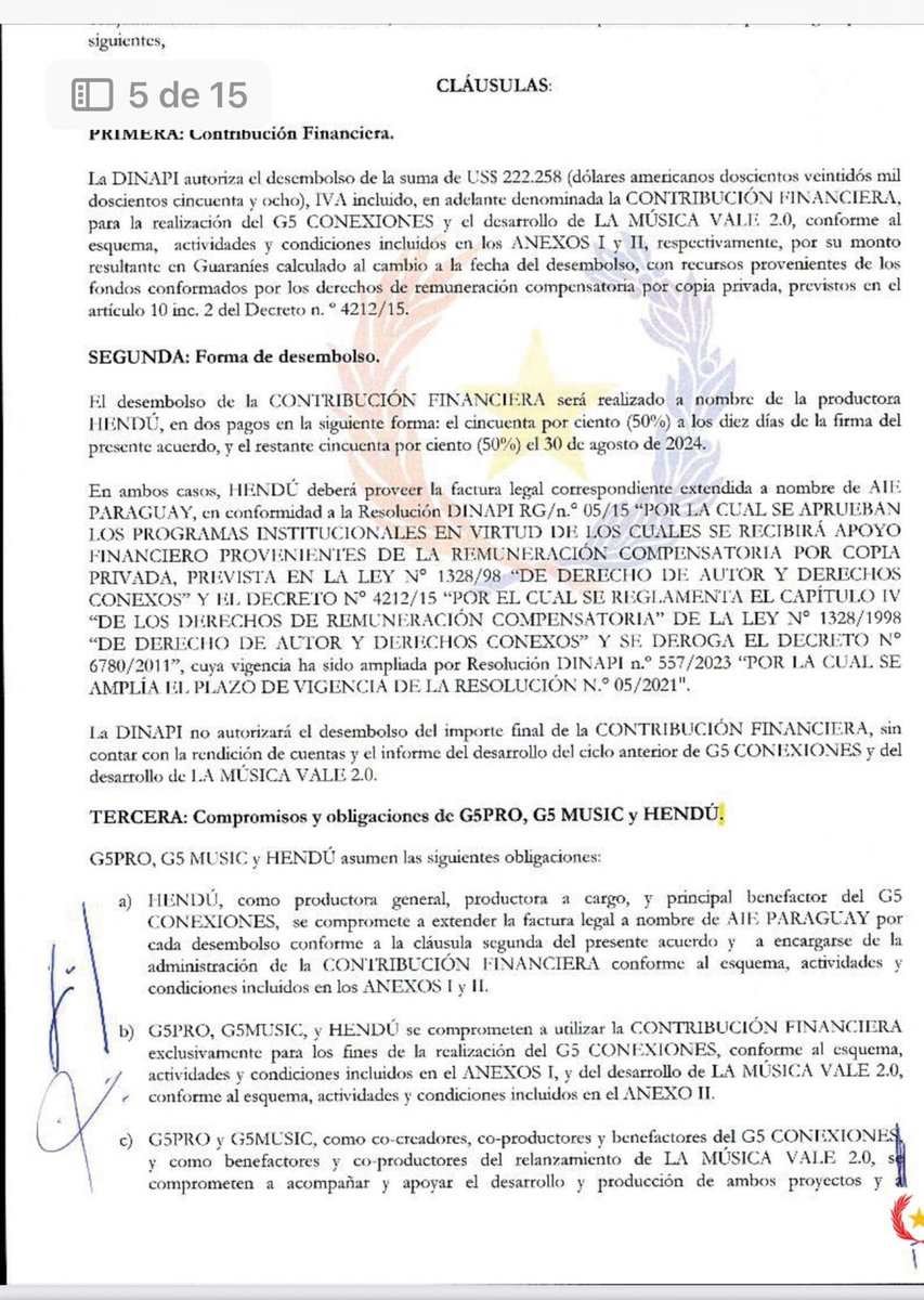 Dionisio Amarilla Guirland tweet media