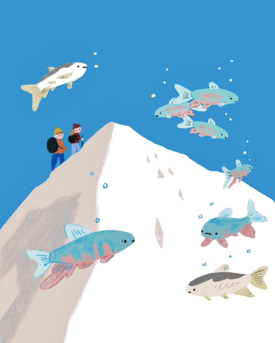 #山の日

オイカワと山のぼり