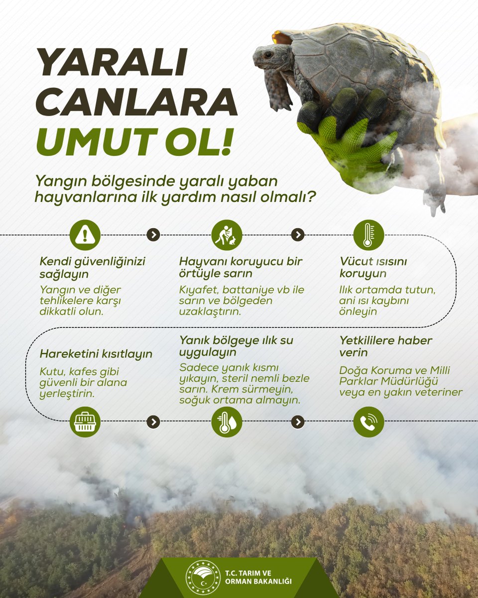 🐾 Bir dokunuş, bir hayat…

🌲 Yangın bölgesinde yaralı hayvan gördüğünde doğru şekilde müdahale et 🩺 ve hemen yetkililere bildir 📢.

Unutma, küçük bir yardım bir canı kurtarabilir. 👇