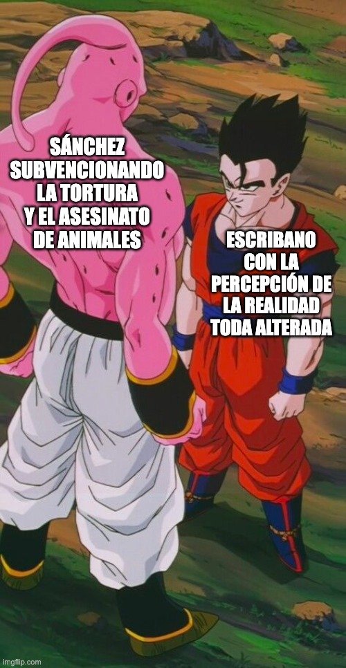 FuturoVegetal's tweet photo. Que Manuel Escribano, torturador de toros, grite “Pedro Sánchez a prisión” es la mayor hipocresía posible. @sanchezcastejon mantiene y financia a los que torturan animales y da alas la extrema derecha que defiende esta barbarie. https://t.co/fFT6Ox5bf1