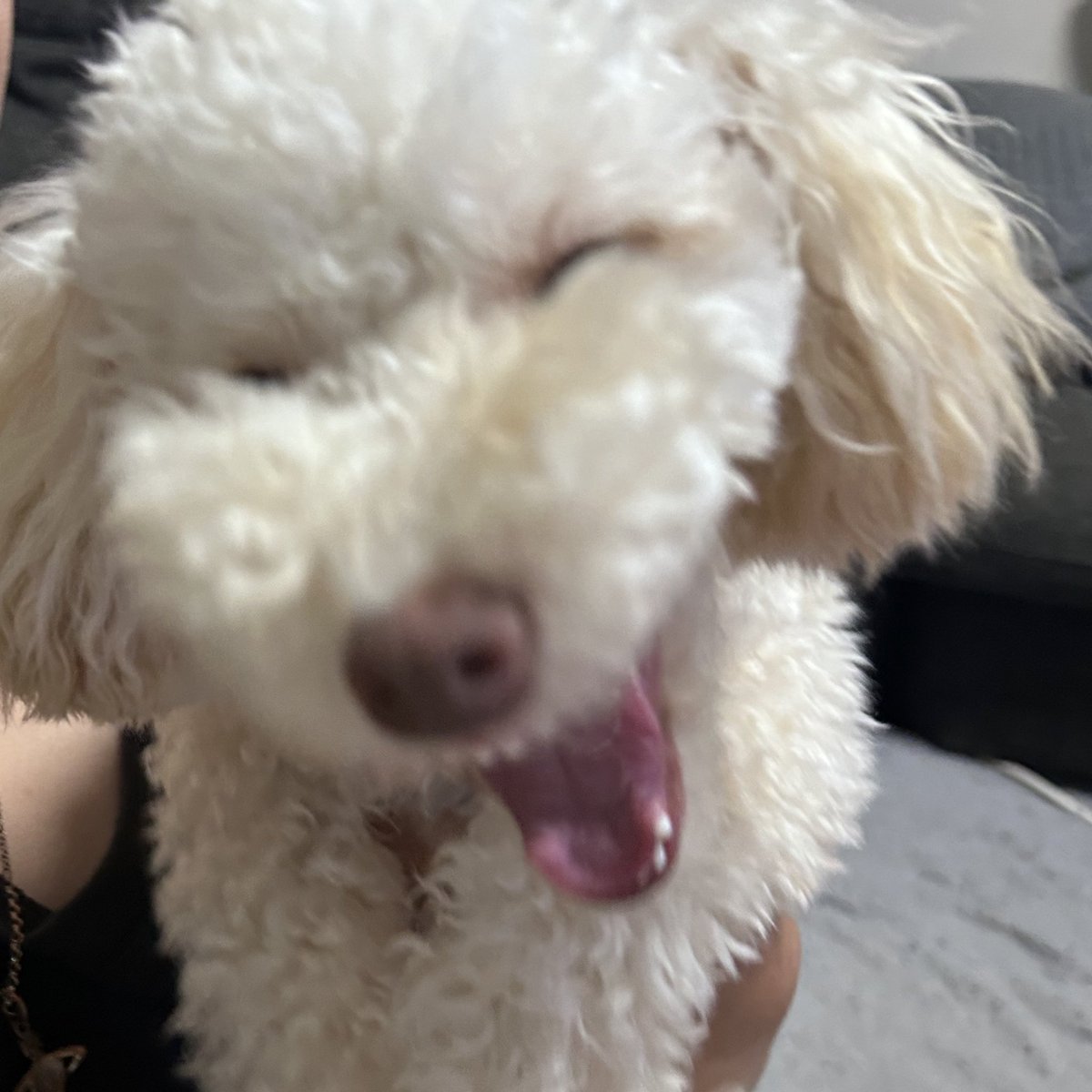 ヤッ！！！！ダッッ！！！！！